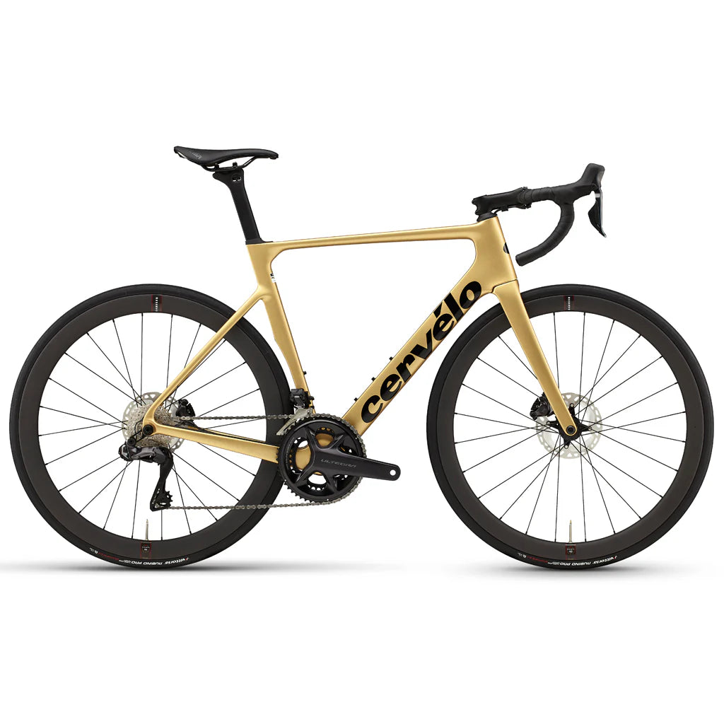 Soloist Ultegra Di2